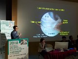 HK Wrist Course 14-18 Dec 2018 - 110.jpg